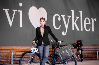 Édition imperméable QL2.1 urbain Commuter Urban – sacoche de porte-bagages Pepper